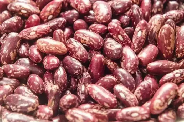 Distribuidora de productos para restaurante, frijoles Calima