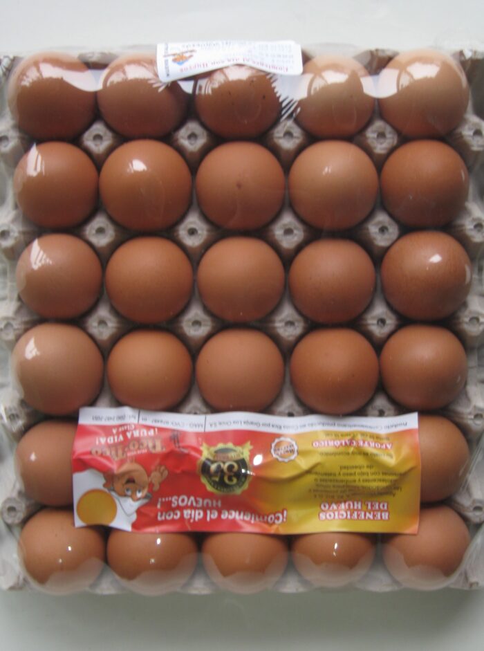 Distribuidora de productos para restaurante, Huevos